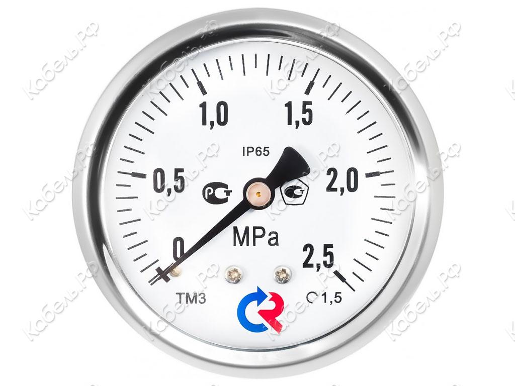 Манометр ТМ-221Т.00 (0-2,5МРа) М12х1,5, кл.т. 2,5 гидрозаполненный